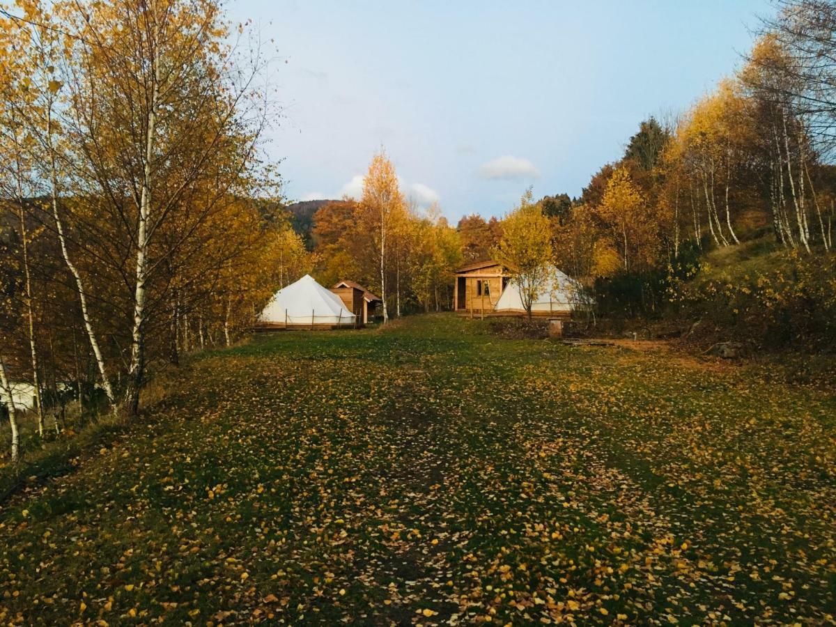 Silver Trees - Glamping Fresse-sur-Moselle Exterior photo
